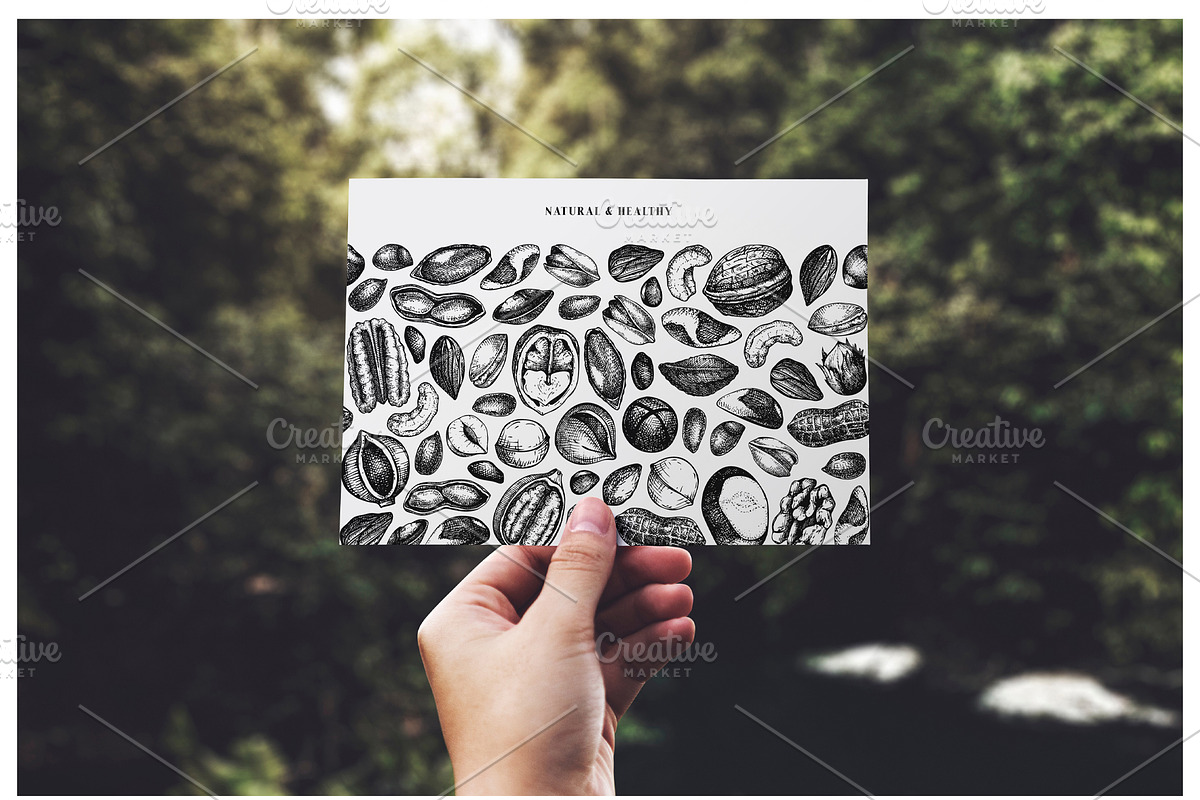Nuts Hand-Drawn Vector Illustrations, a Food Illustration by Yevheniia (Photo 12 of 15)