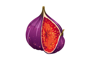 Fig Fruit Cut with Thin Skin and, a Food Illustration by the8monkey