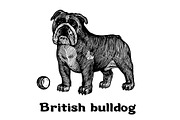 Dogs collection, part 1, an Animal Illustration by ZotovShop (Thumbnail 7 of 9)
