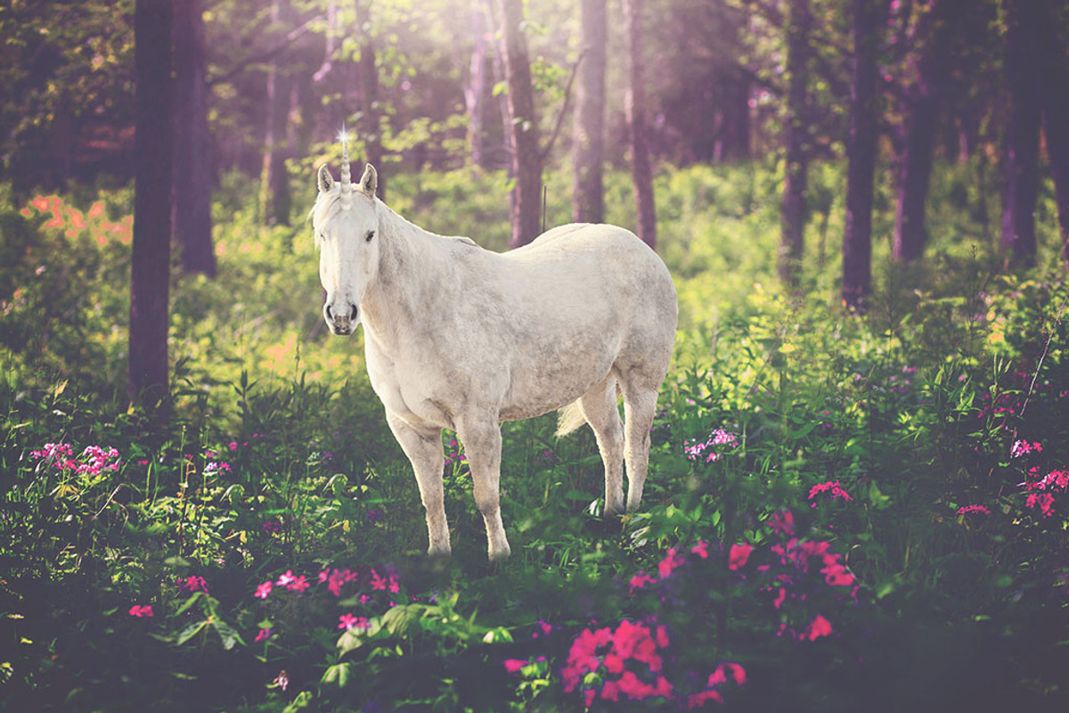 Unicorn Overlays - 5 PNGs - preview 3