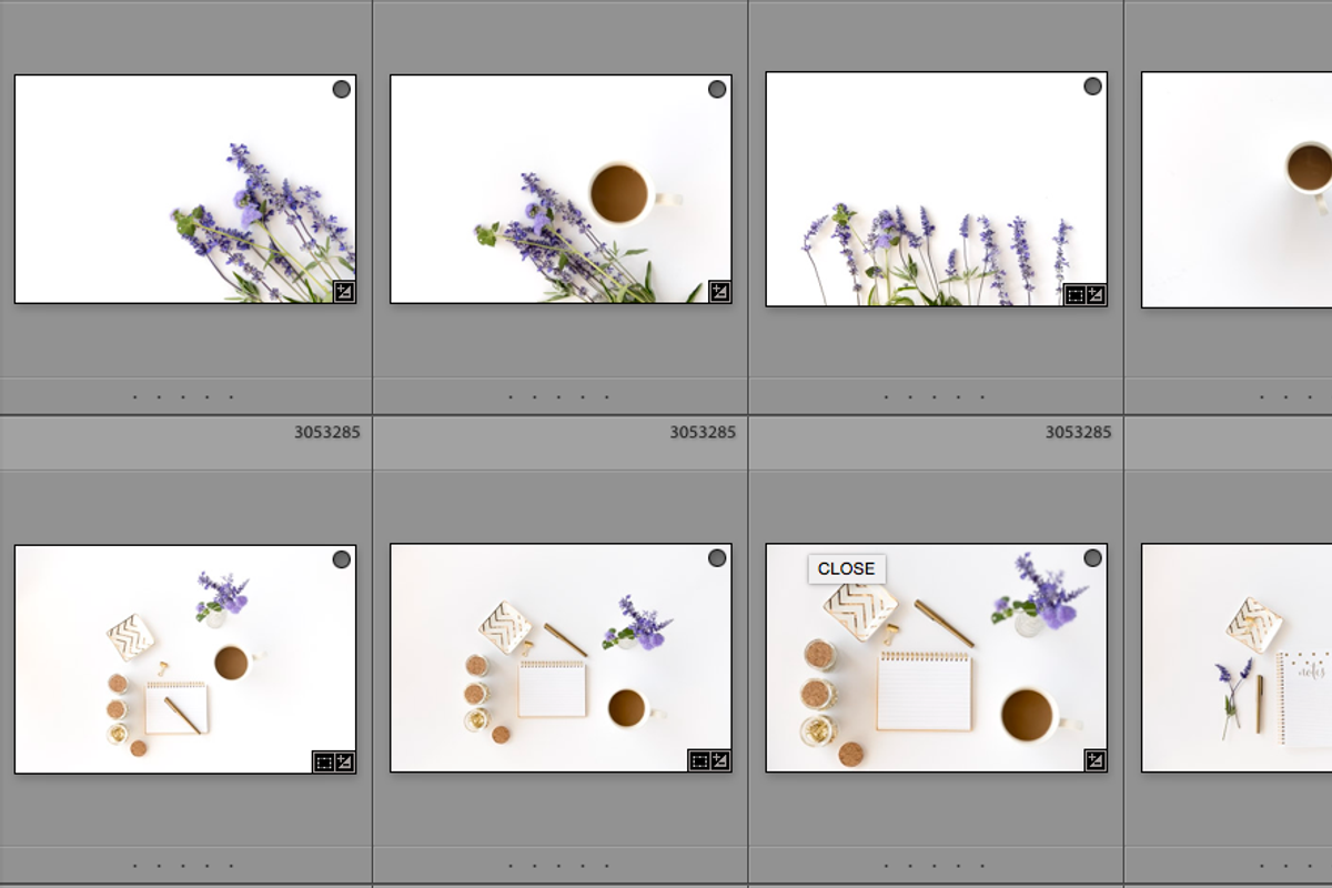 61 Styled Stock - Dahlia Collection, a Templates & Theme by Cohesive Market (Photo 4 of 7)