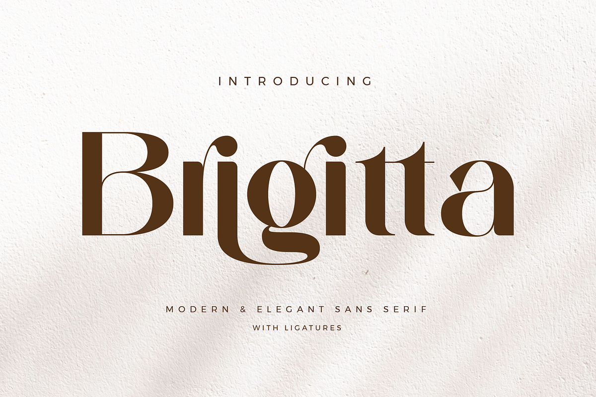 Brigitta - Modern Sans Serif, a Sans Serif Font by Aqeel_Art (Photo 1 of 9)
