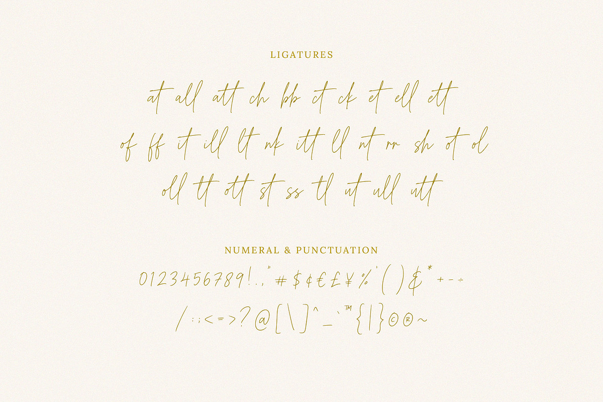 Smithland Handwritten Script, a Script Font by Seagulls Creative (Photo 11 of 11)
