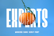 Experts Modern Sans Serif Font, a Sans Serif Font by Perfectype (Thumbnail 1 of 6)