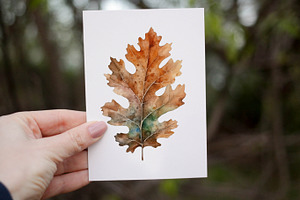 Autumn Leaves Clipart. AI