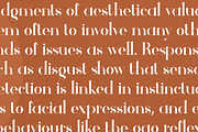 Theramy - Modern Ligature Font, a Serif Font by GraphicDash (Thumbnail 8 of 10)