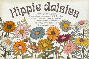 Set Of SVG & PNG Retro Daisies