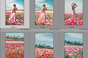 Dreamy Flower Fields Photo Bundle, a Nature Photo by Munopia (Thumbnail 2 of 5)