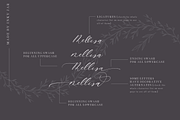 Just Married - Font Collection, a Script Font by Inky Jar Design Studio (Thumbnail 2 of 12)