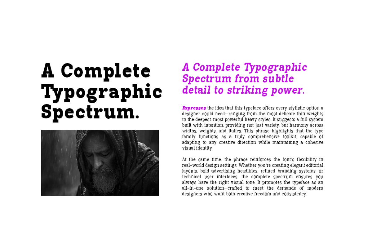 Pano Slab Condensed & Semi Condensed, a Slab Serif Font by artisans (Photo 4 of 8)