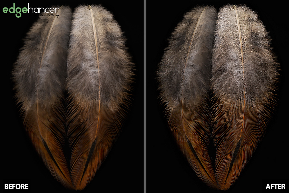 Fixel EdgeHancer 2 PS, a Plug-in Add-On by Fixel Algorithms (Photo 1 of 3)