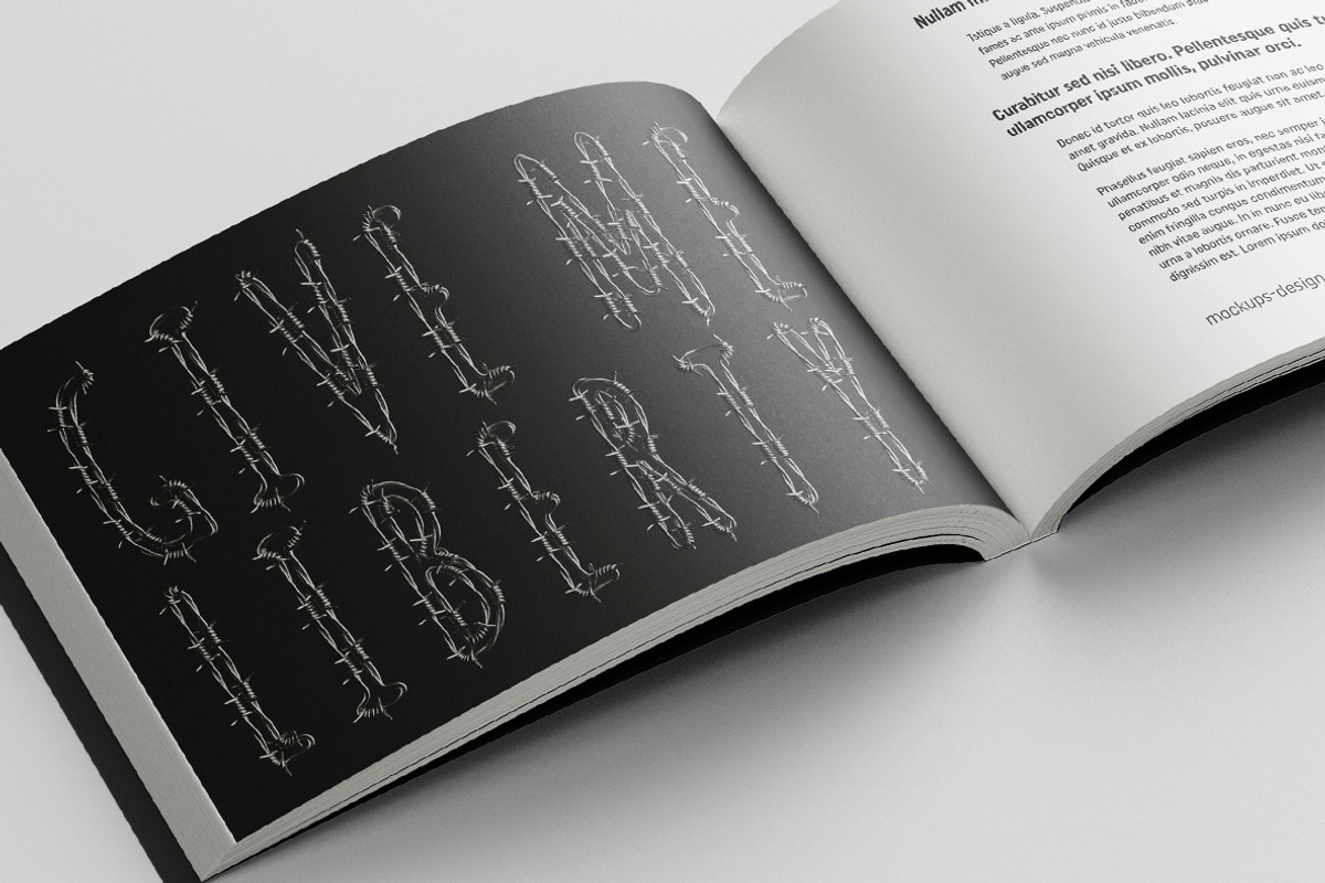 Freedom Font, a Font by Handmadefont (Photo 6 of 9)