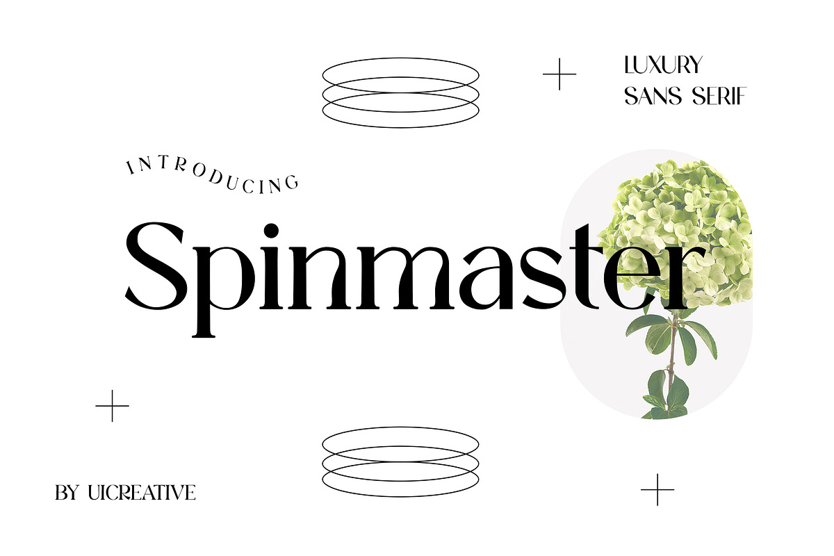 Spinmaster Modern Display Serif Font, a Serif Font by UICreative (Photo 1 of 13)
