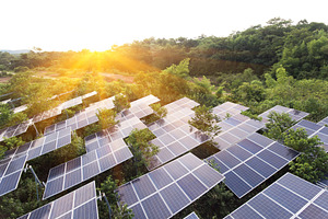 Sunset over solar farm containing energy, clean, and solar