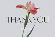 Equila || Display Ligature Serif, a Serif Font by ToniStudio (Thumbnail 10 of 10)