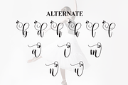 Ballerina | Script Font, a Handwritten Font by Scratchones (Thumbnail 8 of 9)