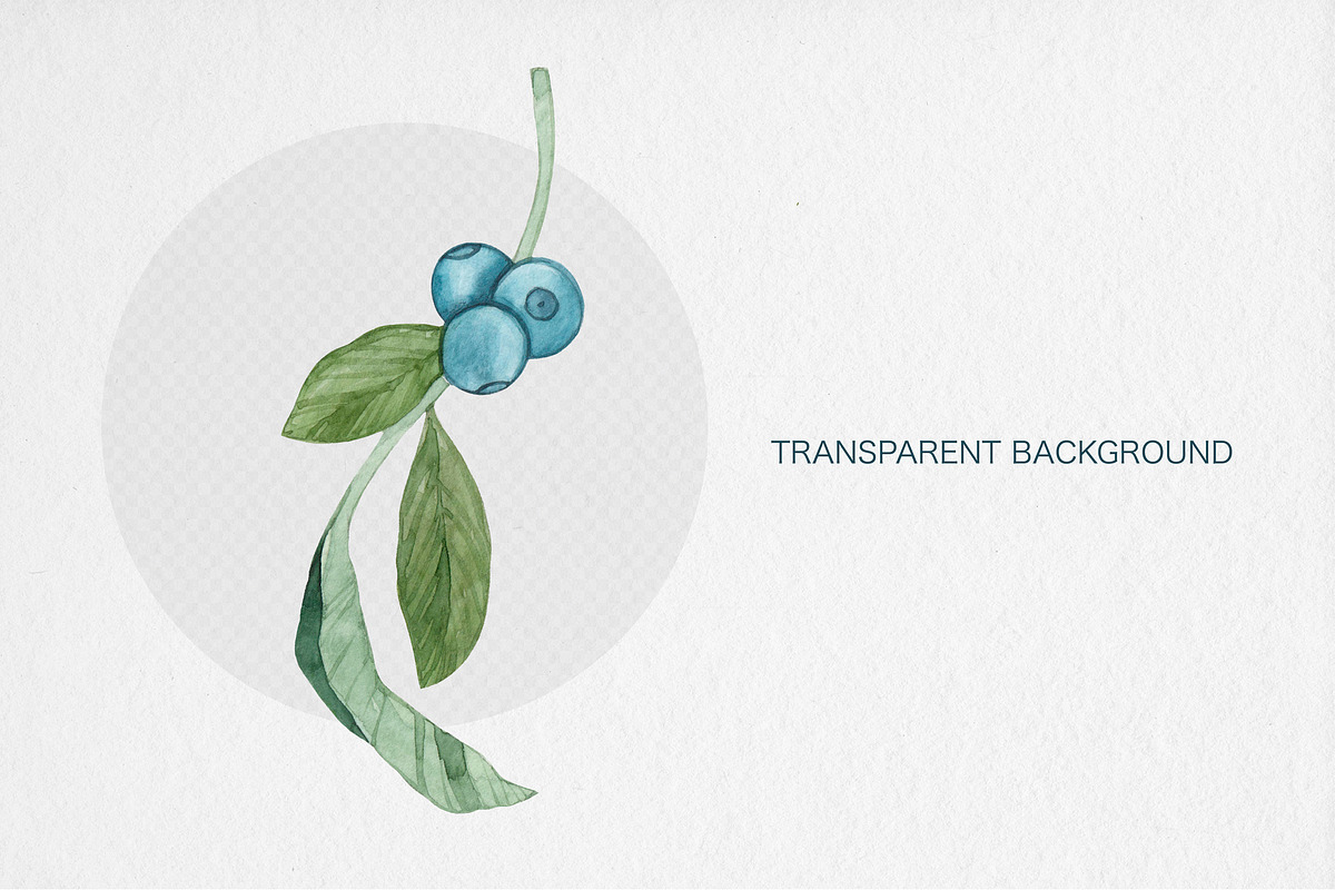 Watercolor Blueberry Clipart, an Illustration by MilanaDesignShop (Photo 3 of 4)