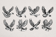 36 Eagle Vector Illustrations, an Animal Illustration by Alternate Studio (Thumbnail 7 of 7)