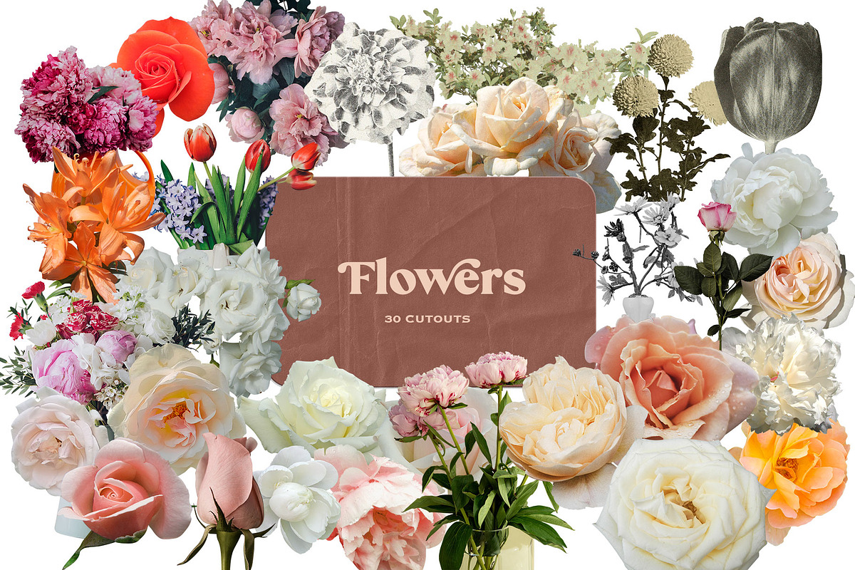 Vintage Collage Creator 710+ PNG, an Object Graphic by Marie T (Photo 11 of 26)