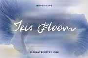Iris Bloom: Elegant Script Font, a Script Font by Anastasiia VNSK (Thumbnail 1 of 11)
