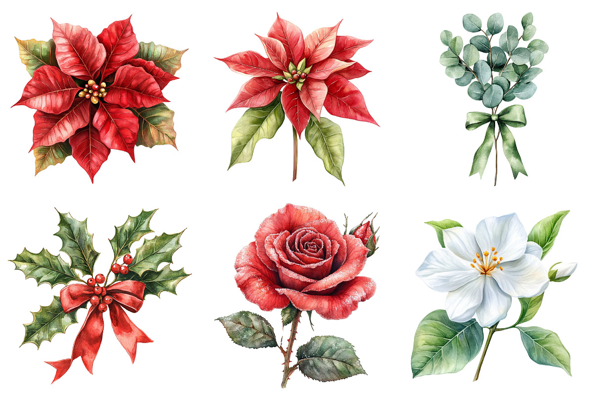 Watercolor Christmas Floral Clipart, an Illustration by Daily.Designs (Photo 5 of 5)