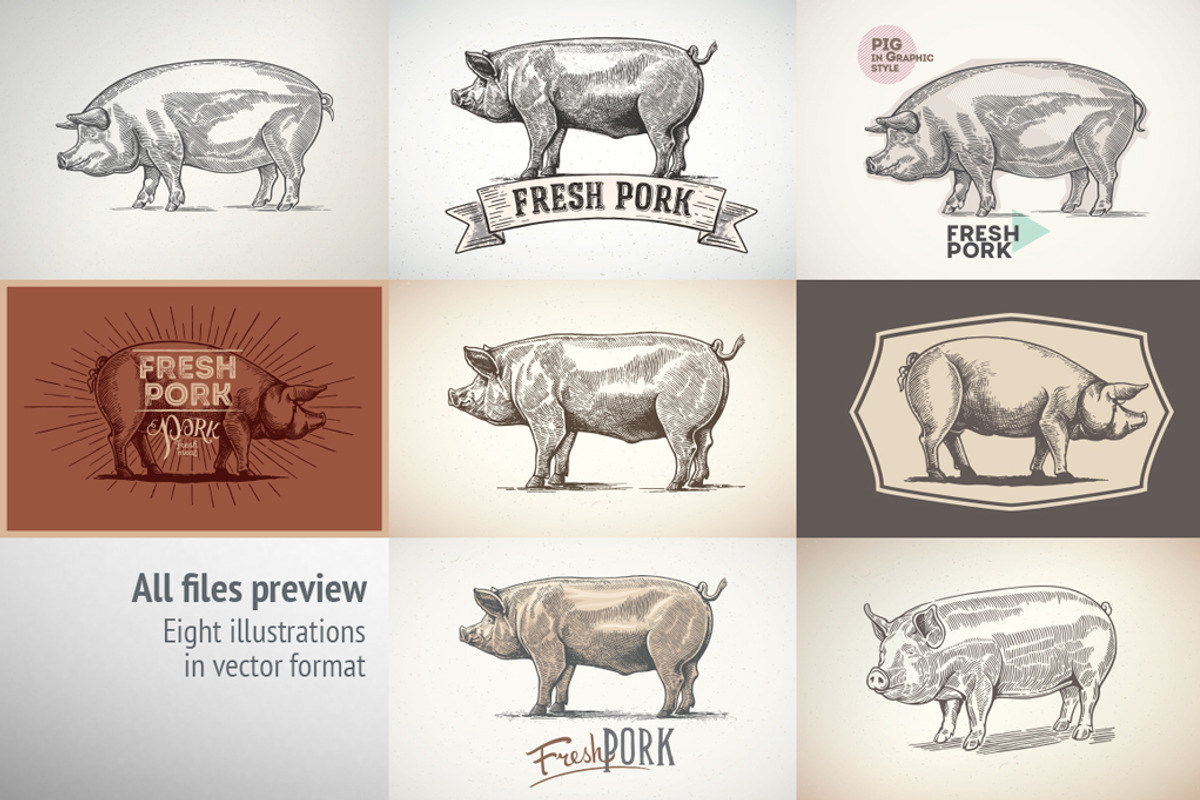 Pigs in graphical style, an Animal Illustration by Countryside life (Photo 10 of 11)