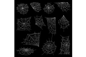 Halloween Spider Web Or Cobweb