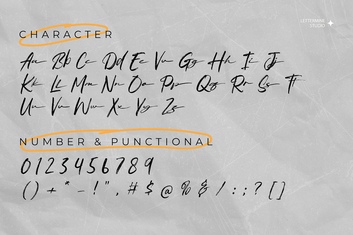 Averna En Rails - Brush Script, a Script Font by Lettermine (Photo 9 of 10)