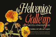 Maryllis Modern Elegant Script Font, a Script Font by Graphicxell (Thumbnail 6 of 8)