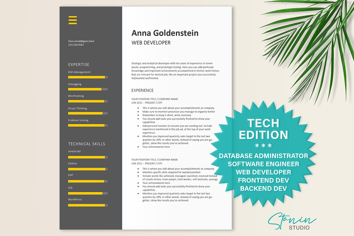 Web Developer Resume | IT Tech CV, a Resume Template by Stanin Studio (Photo 1 of 10)