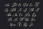 Housing - Classy Script Font, a Script Font by Arendxstudio (Thumbnail 9 of 9)