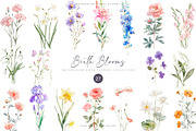 watercolor birth flowers collection, a Decorative Illustration by Patishop Art (Thumbnail 1 of 9)