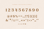 Touch | Serif Font, a Serif Font by AngelinaKovel (Thumbnail 9 of 11)