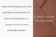 Piattacia font family, a Serif Font by greatypes studio (Thumbnail 3 of 15)