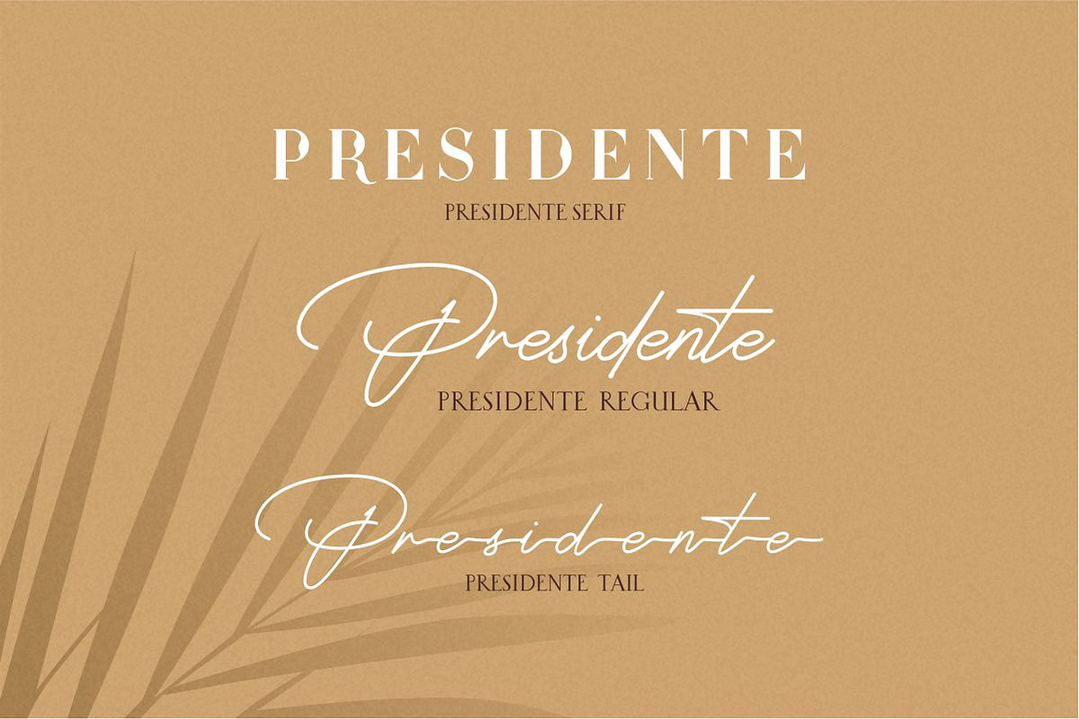 Presidente Font Duo vol.02 preview 4