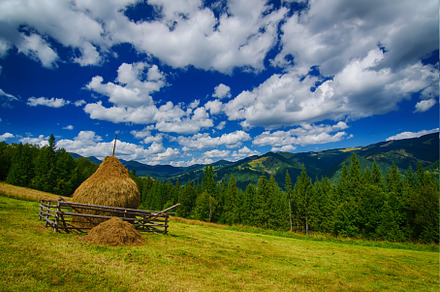 Summer mountain landscape, a Nature Photo by Nature and travel