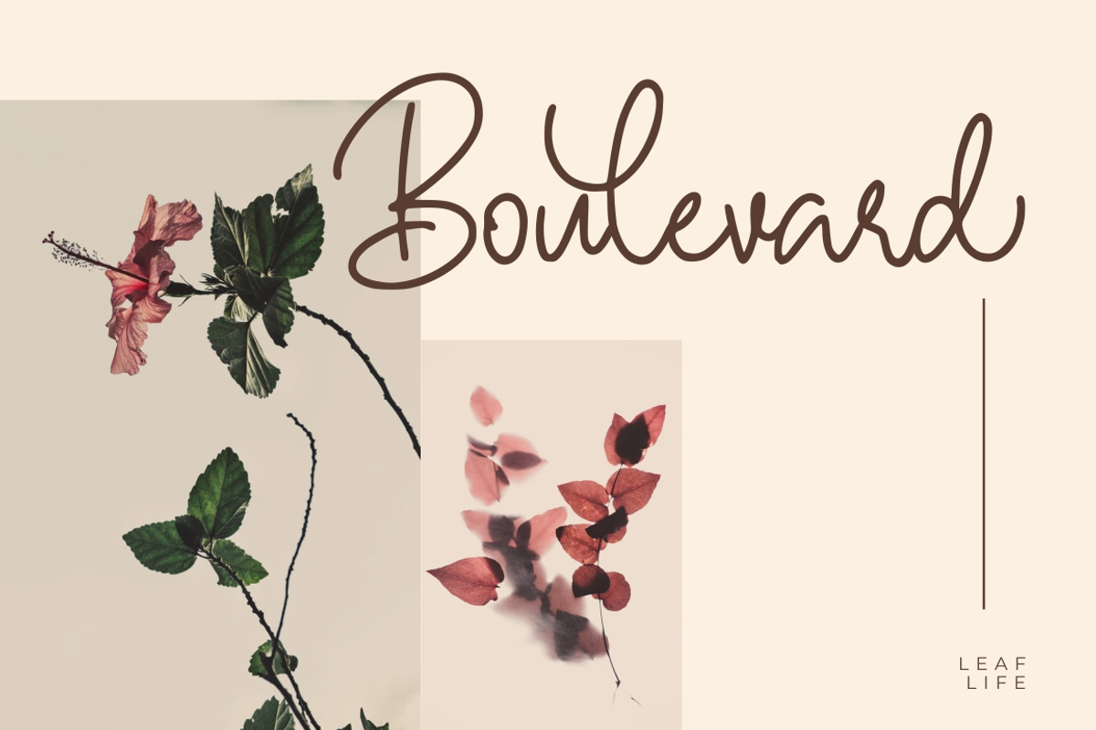 Hallywood - Handwritten Script Font, a Script Font by StringLabs (Photo 4 of 10)