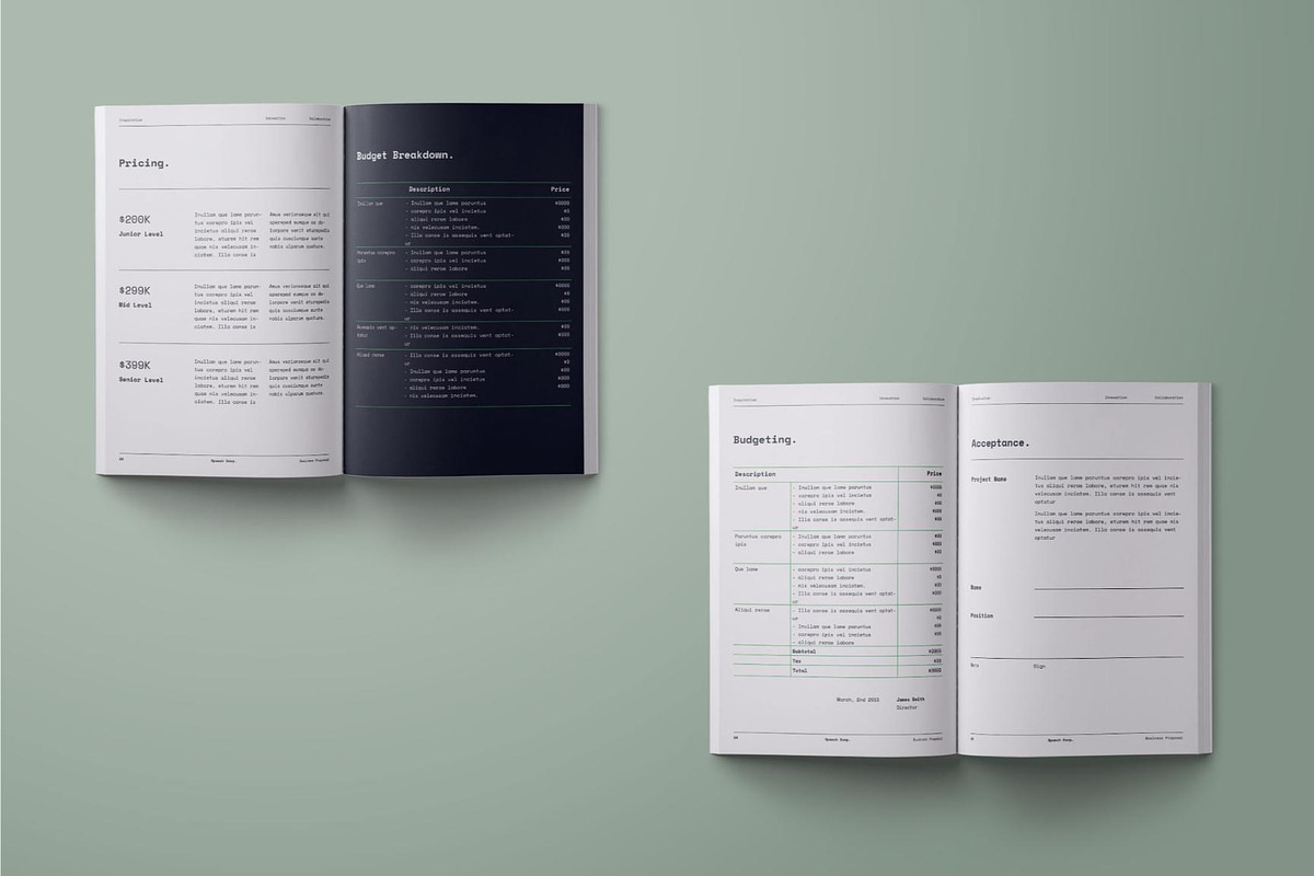 Business Project Proposal - Spaech, a Brochure Template by fakhroo (Photo 8 of 10)