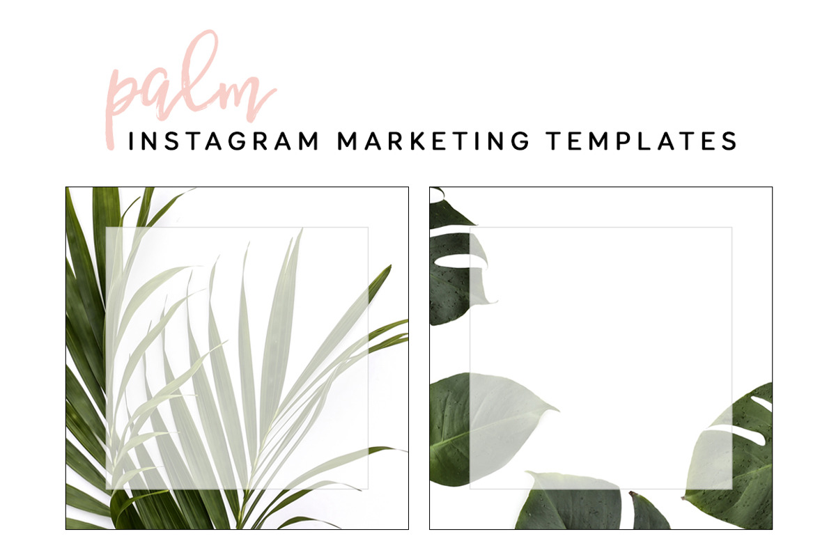 Palm Social Media Templates, a Templates & Theme by Brand Candi