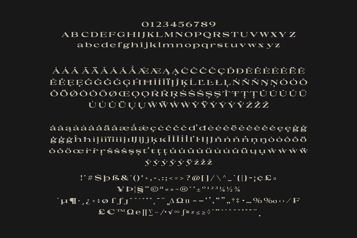Uncmmn Stretched - 7 Style Serif, a Serif Font by Kotivoro (Photo 10 of 18)