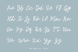 Mr.Monty Handwritten Script