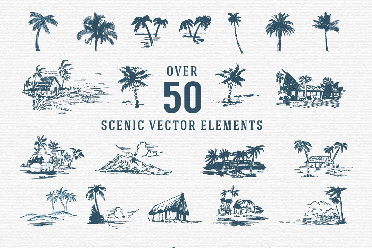 Aloha! Tropical Explosion Collection, an Object Graphic by Sault Design (Photo 3 of 5)