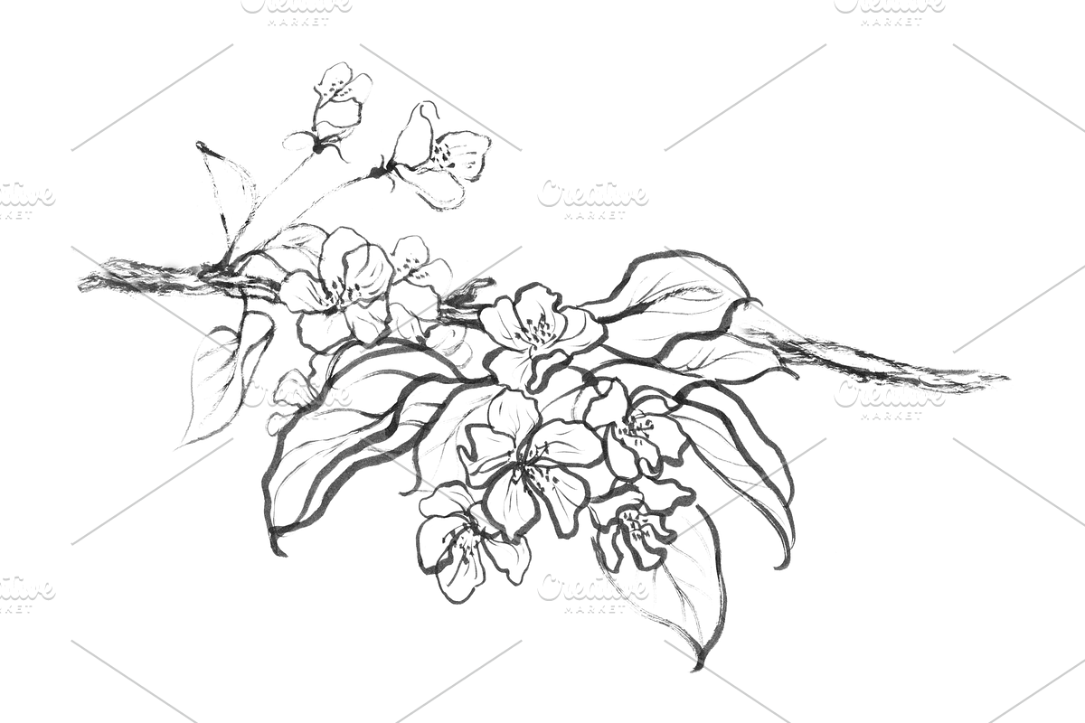 Ink Apple Blossom, an Illustration by Note And Silence (Photo 3 of 5)