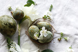 Happy Easter! Stylish natural dyed eggs and spring flowers on li, a Holiday Photo by Sonjachni