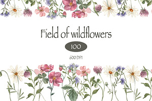 Field of wildflowers