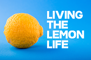 Lemon Butter Display Font, a Sans Serif Font by True North Creative (Thumbnail 3 of 4)