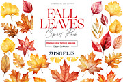 Fall Leaves Clipart, Autumn Leaf PNG, a Decorative Illustration by BrushstrokeArtGB (Thumbnail 1 of 9)