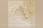 Latisha - Modern Classy Serif Font, a Serif Font by overlaytemplates (Thumbnail 4 of 5)
