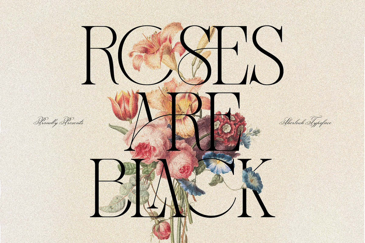 Sherlock Serif Family (126 Fonts), a Serif Font by Mahesans Co (Photo 11 of 25)