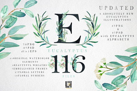 Eucalyptus Watercolor Greenery, a Healthcare Illustration by LABFcreations